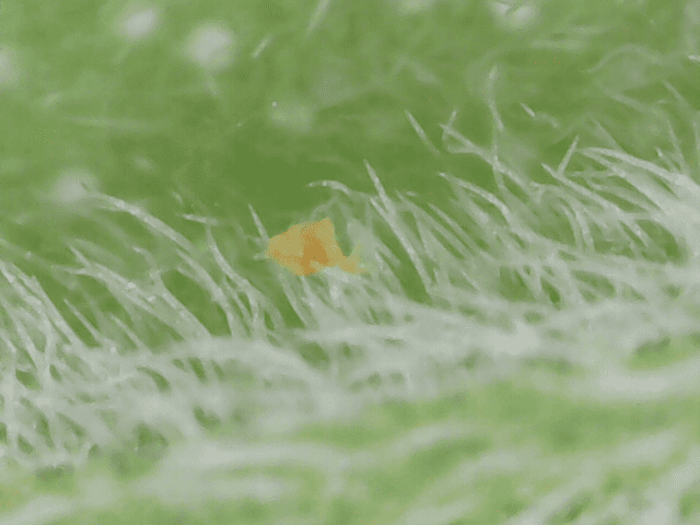 20241201 15 41 54