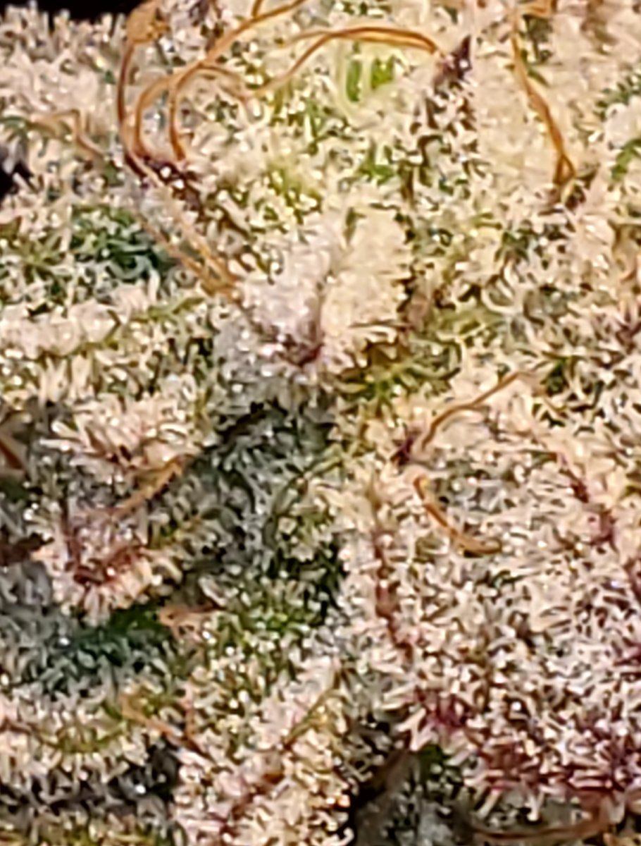 20241209 120458