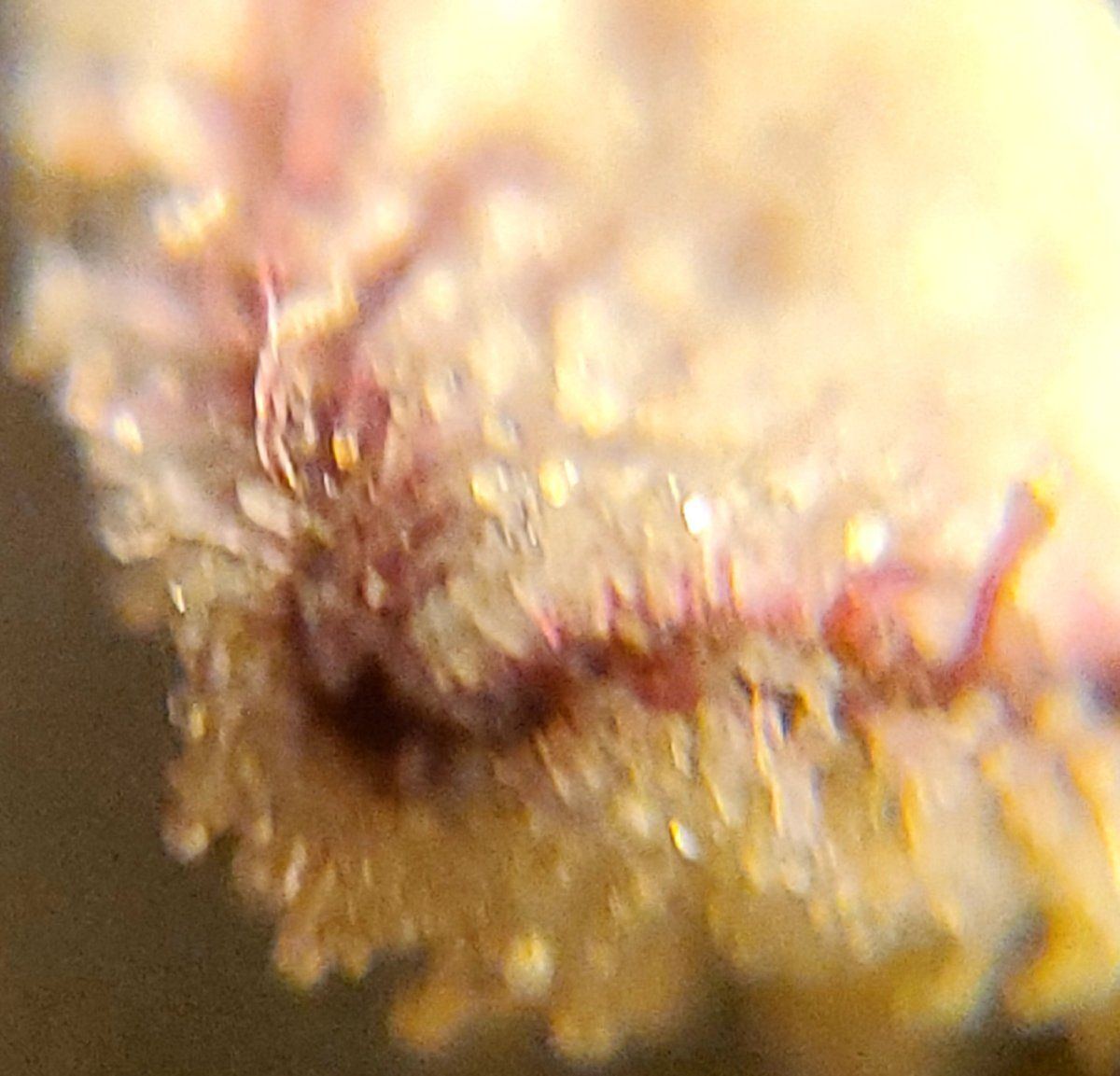 20241219 084030