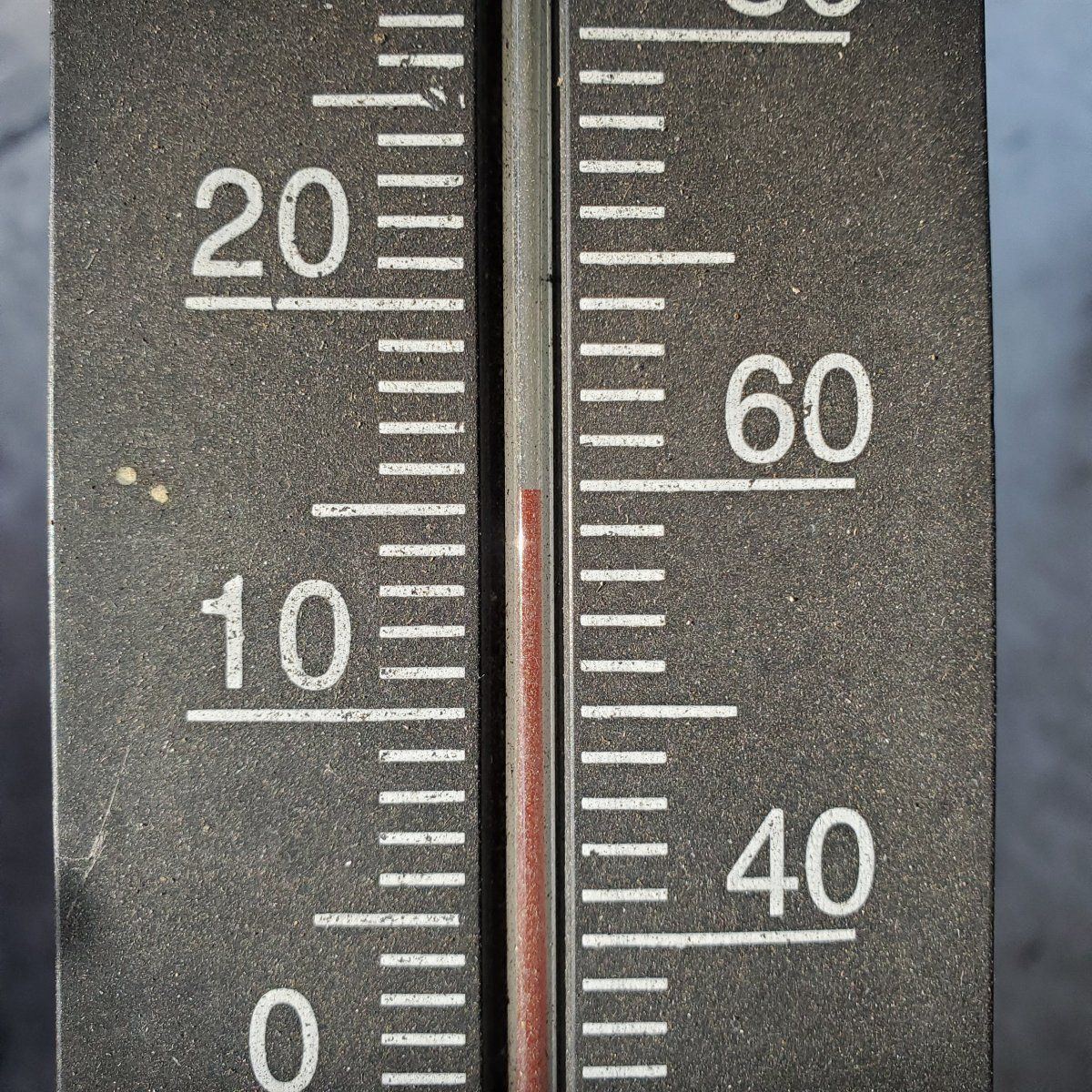 20250121 090801