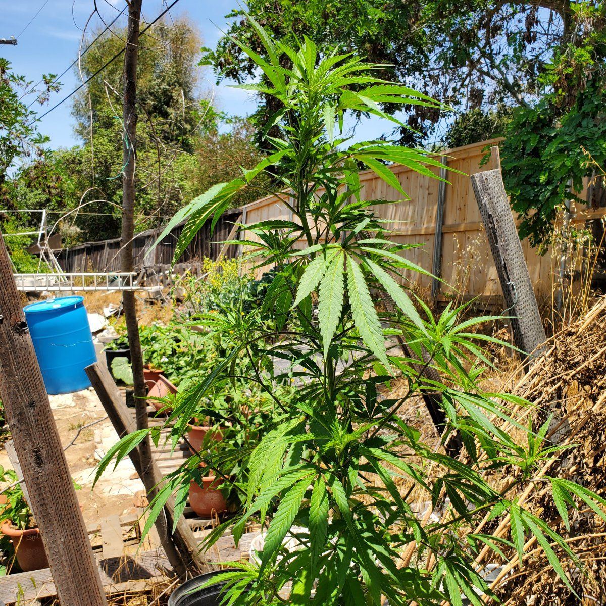 20250611 132043