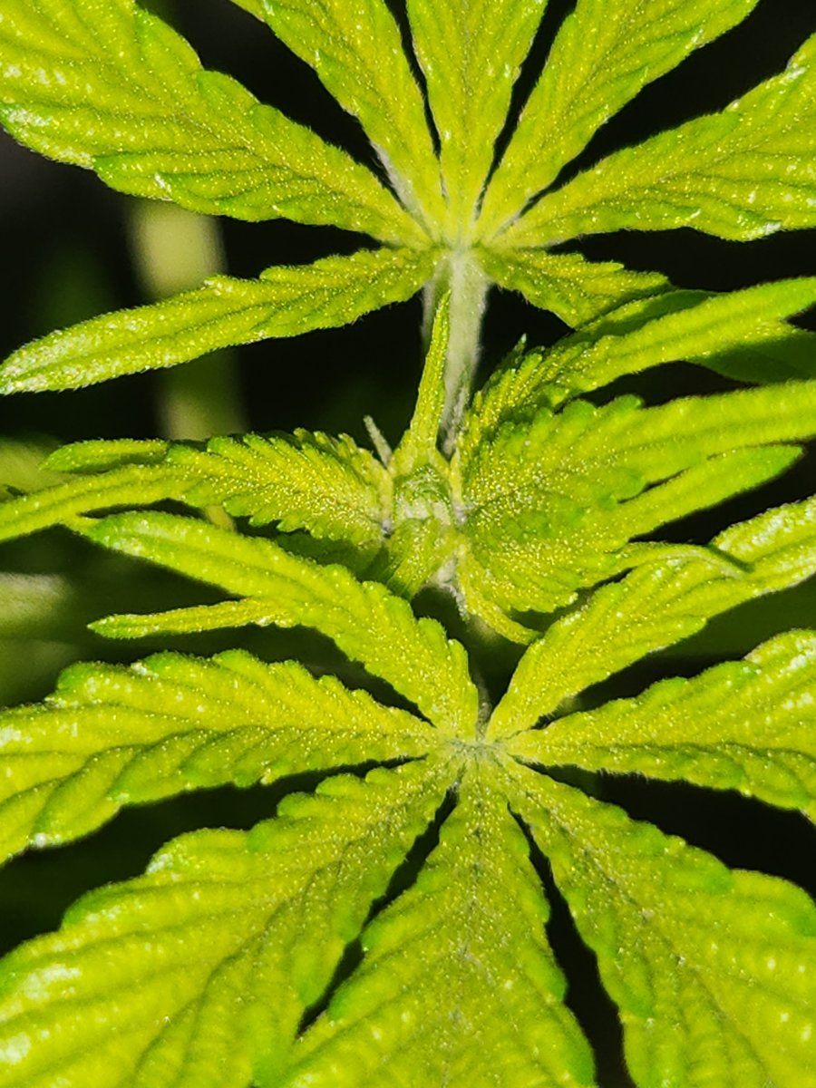 20250718 125520