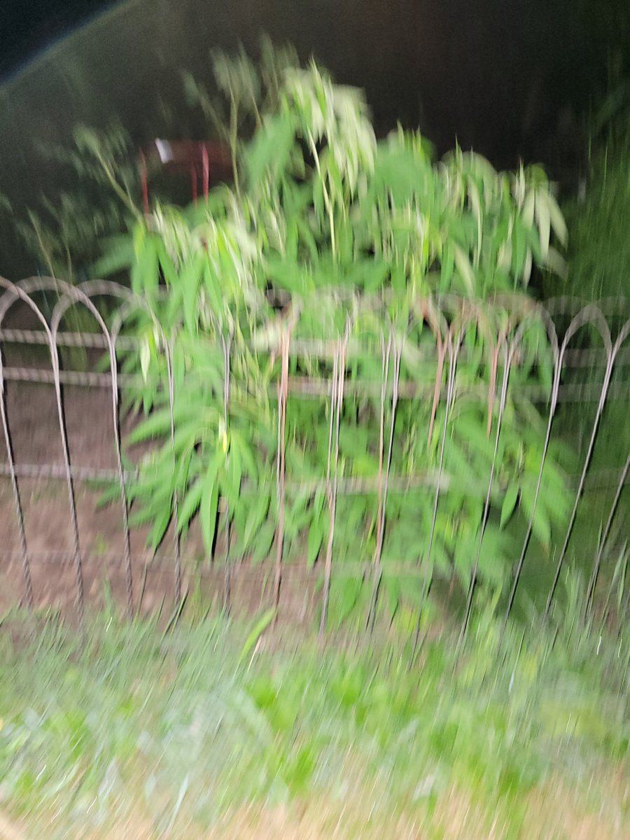 20250728 235056