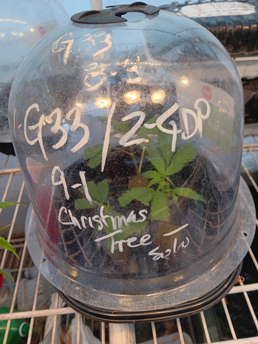 20250912 091734