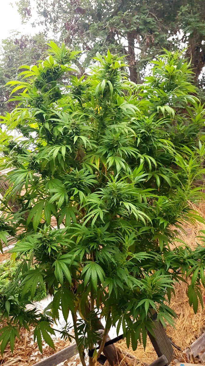 20250920 080312