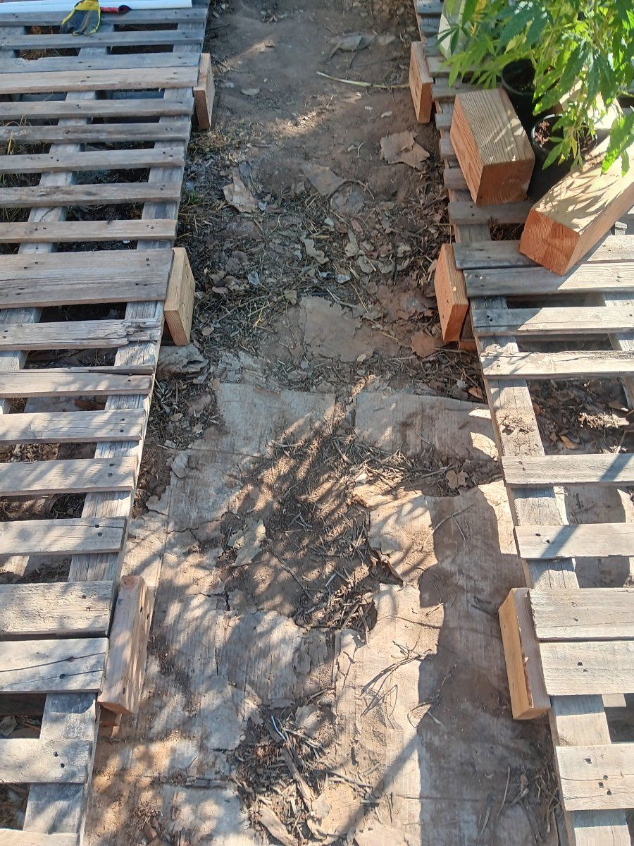 20251101 152826
