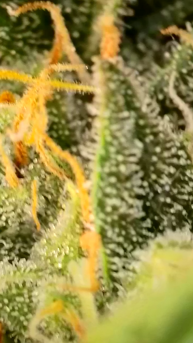 2025 06 23 21 50 34 266