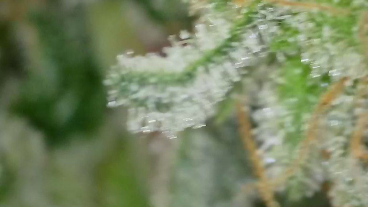 2026 05 20 080906112