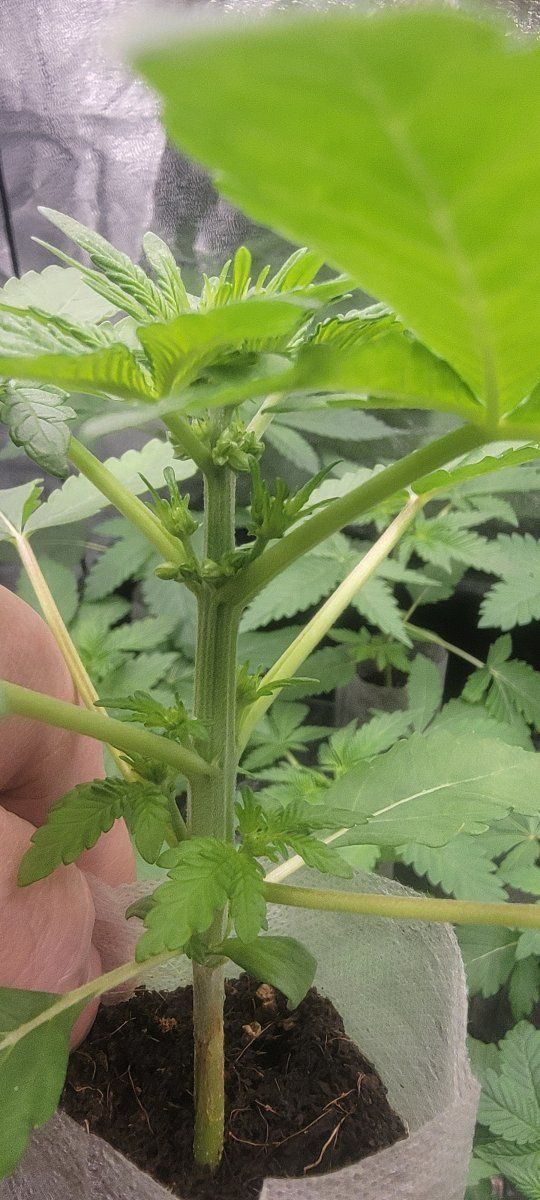 20260101 170009