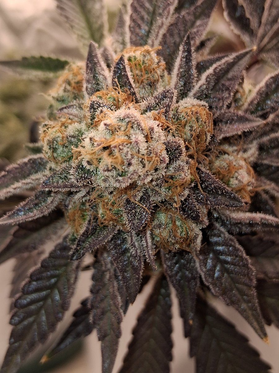20260317 171101