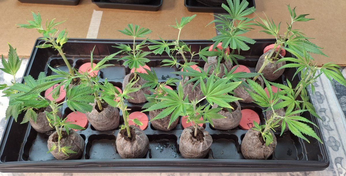20260411 075756