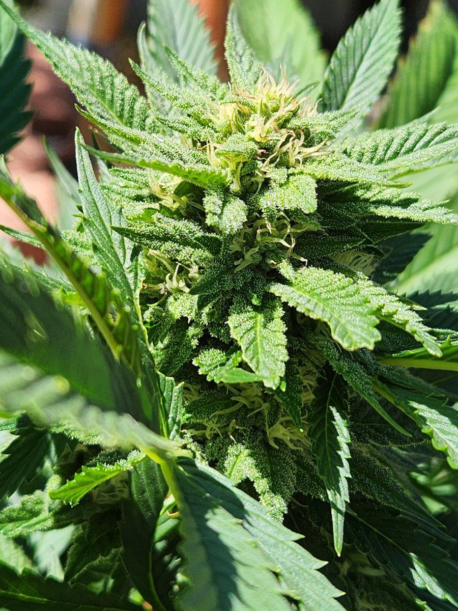 20260415 133802