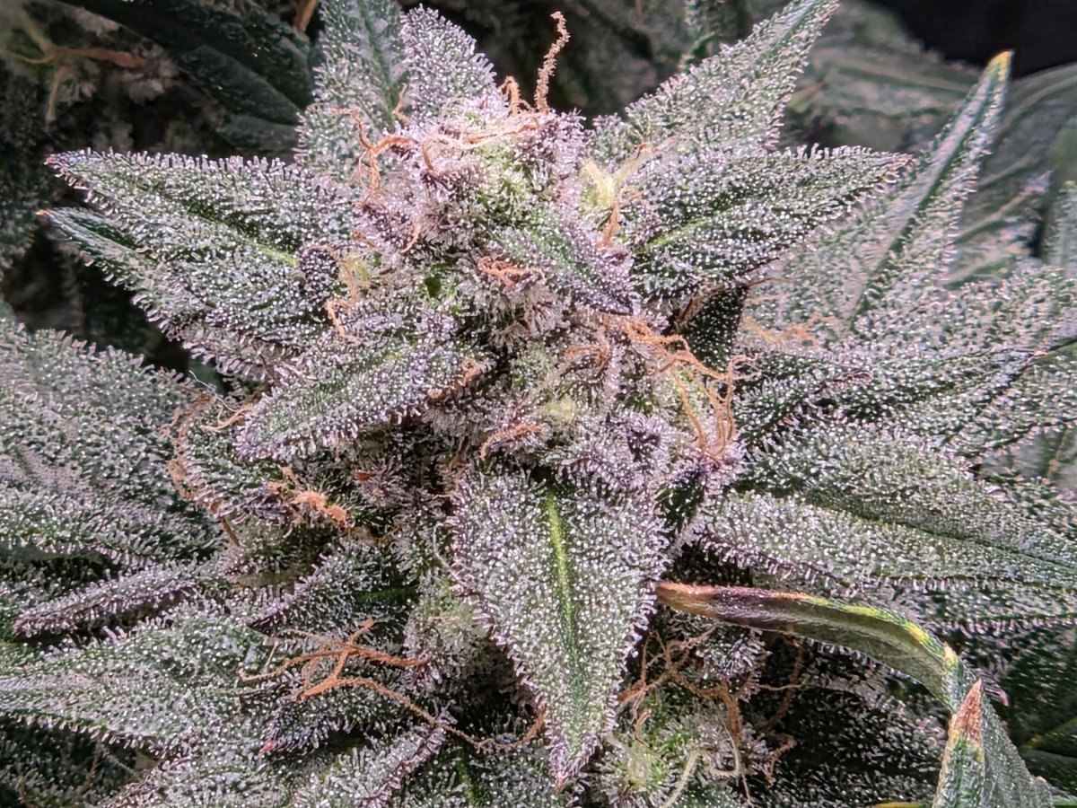 20260531 215548