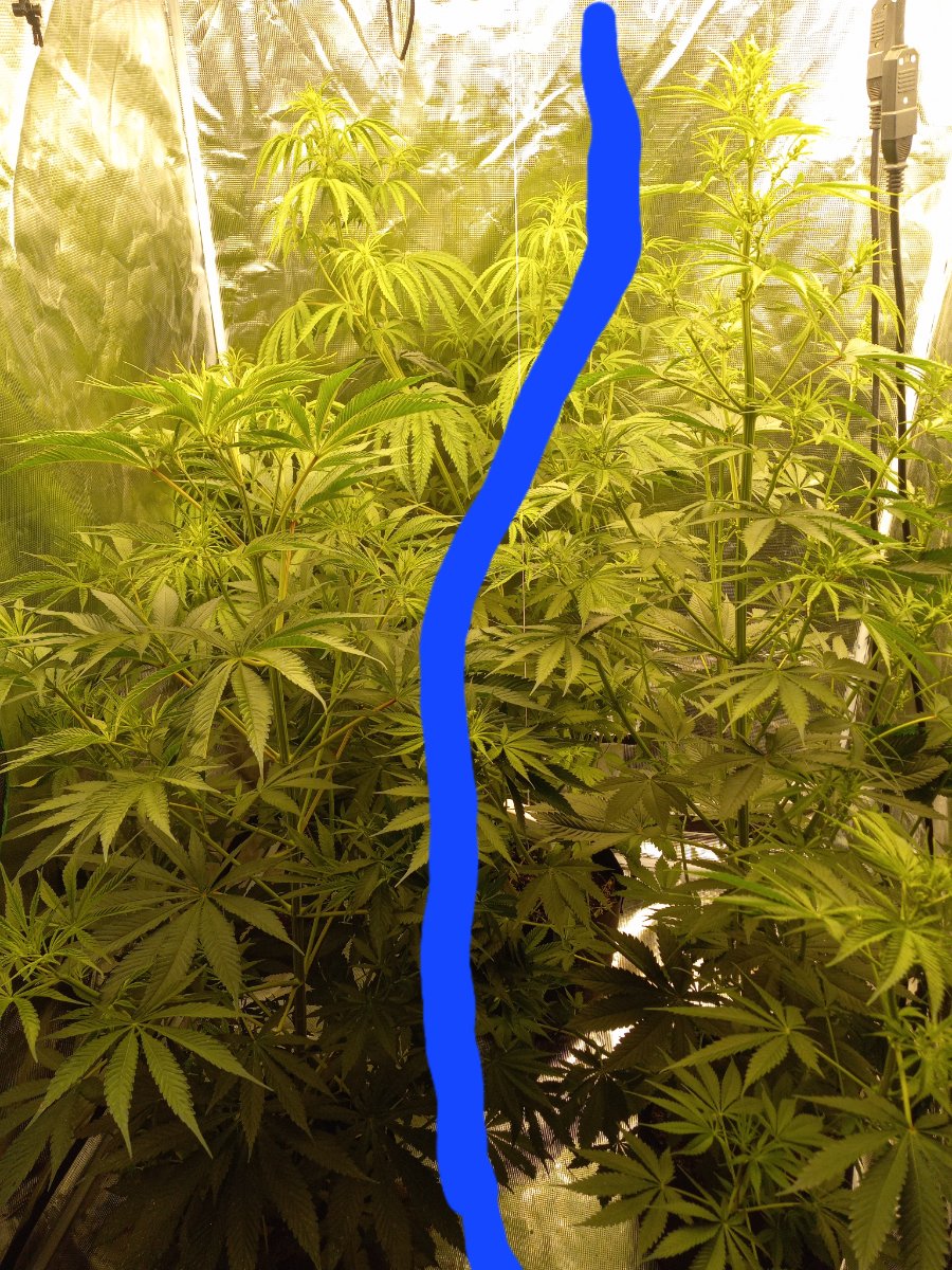 20260618 074011
