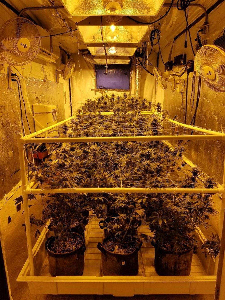 20ft Container Grow Chamber