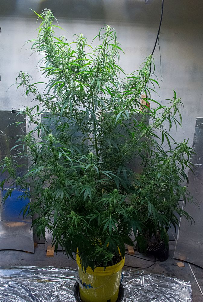 21 May Destroyer full