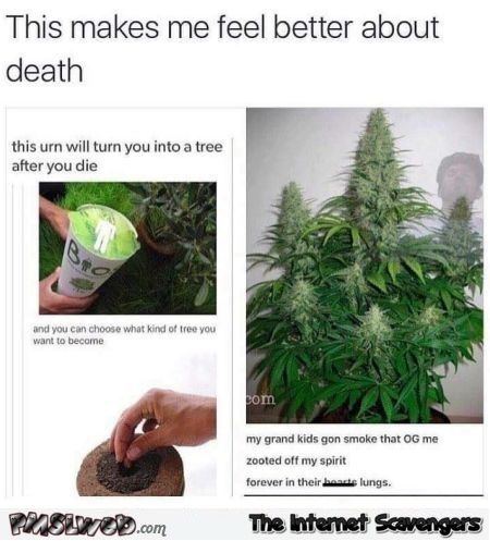 21 this urn will turn you into weed humor1