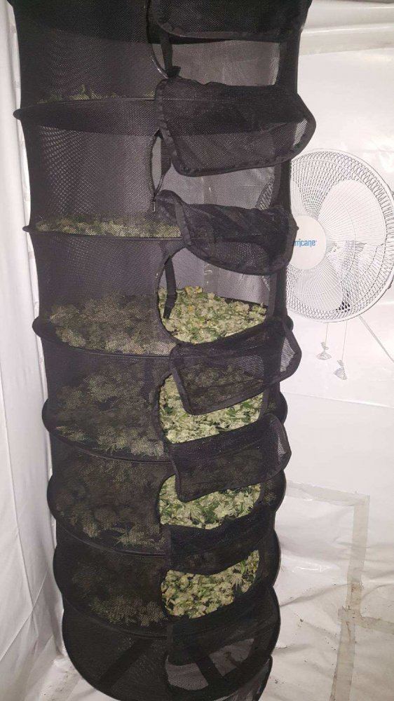2111