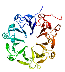 220px 4dnw