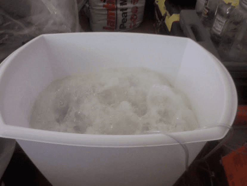 22hrsbrew
