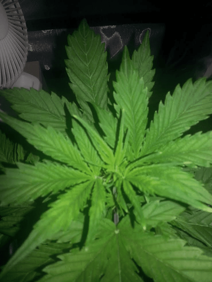 23d
