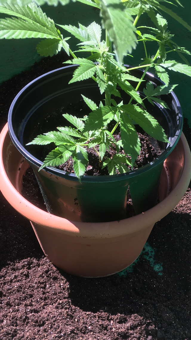 23DB1B5A 45E0 4B01 A447 AFB3CD622595