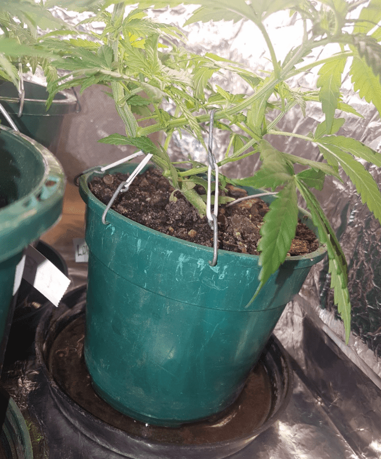 23May17 LST Lizma side
