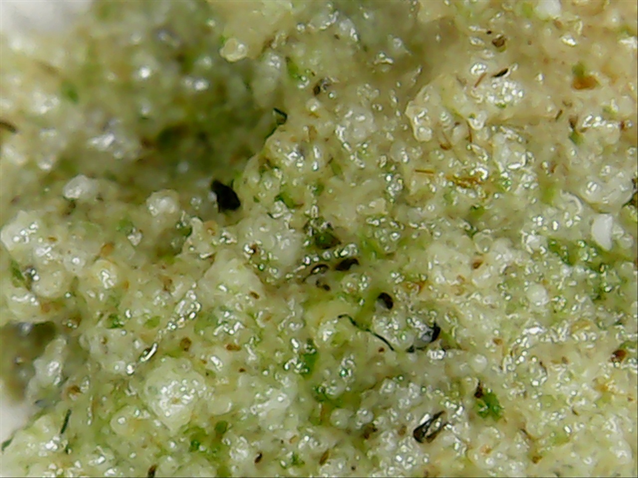25hash