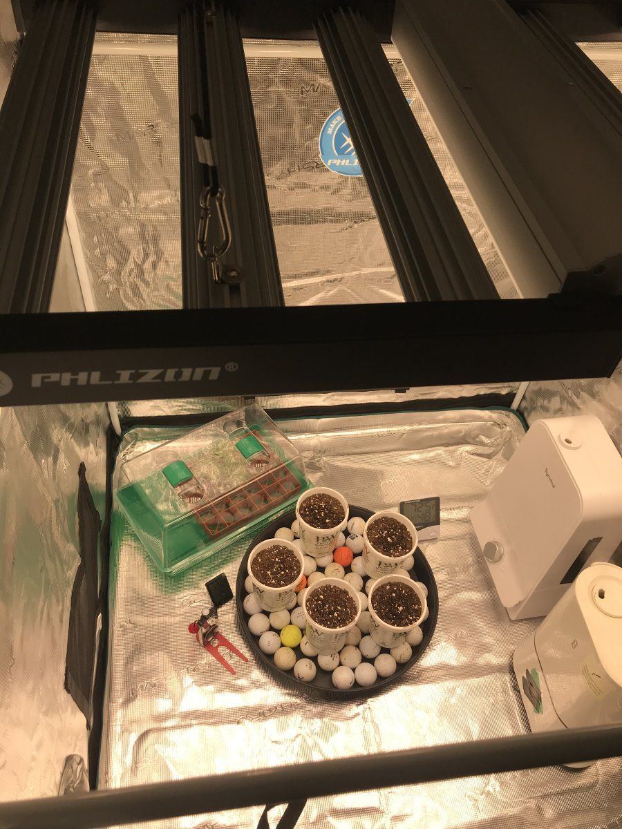 26A58039 D9F7 4BA4 82F7 2739521E5A37