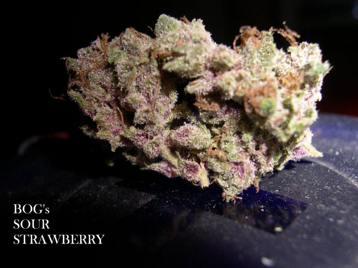 28 Sour Strawberry 4683