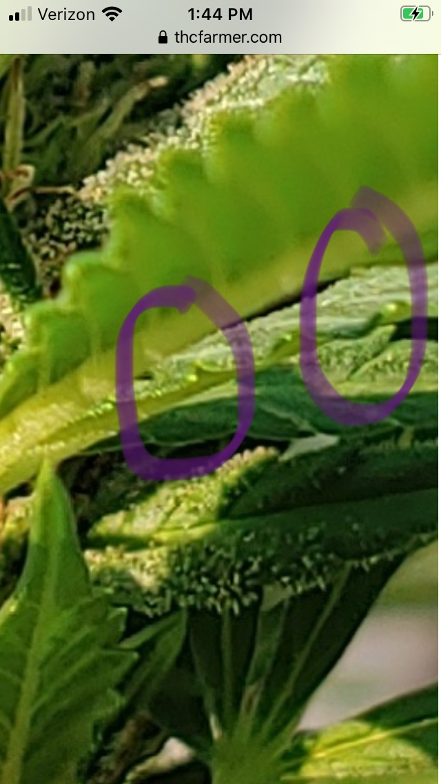 28CCFA84 2541 434B A0F9 646F24F78089