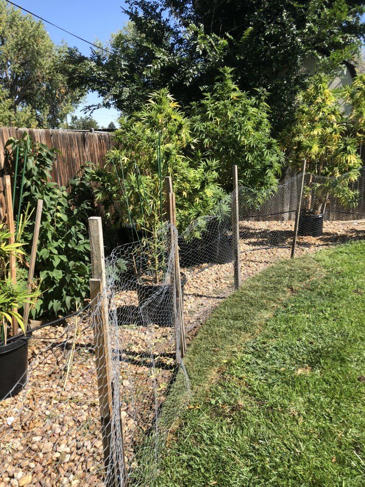 29B0E1A0 63E1 4AE8 A5AE 3C86D0092CE6