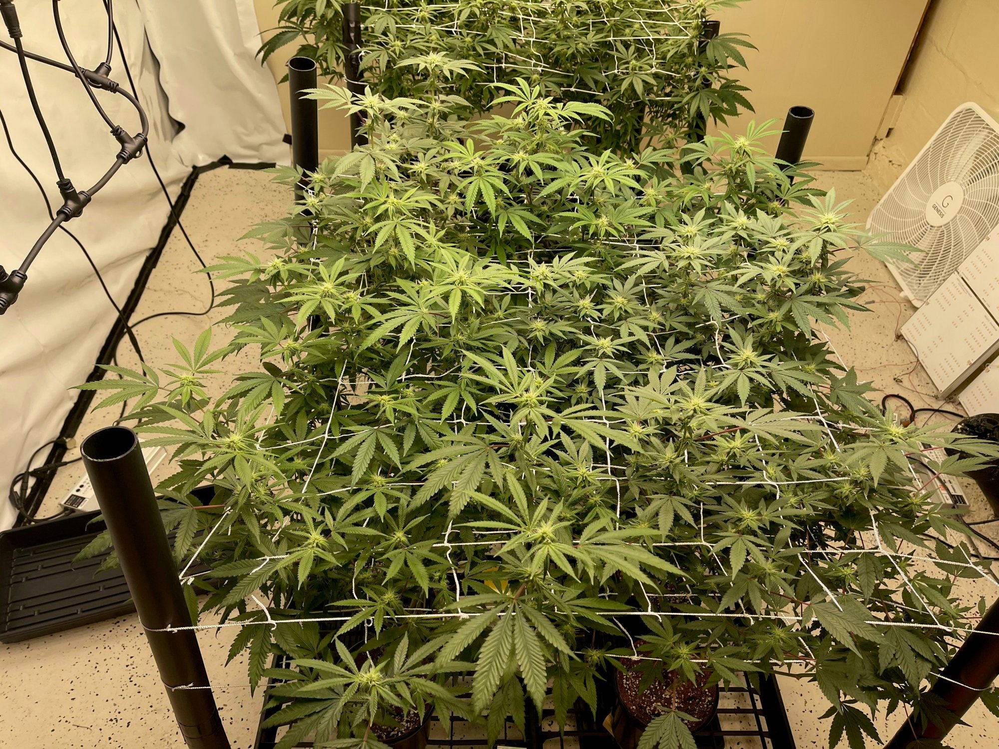 2day21