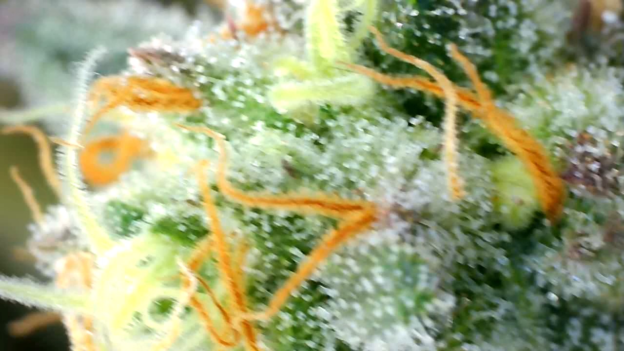 2F323E00 A1E3 4BA1 86B3 2BCE0826F56C
