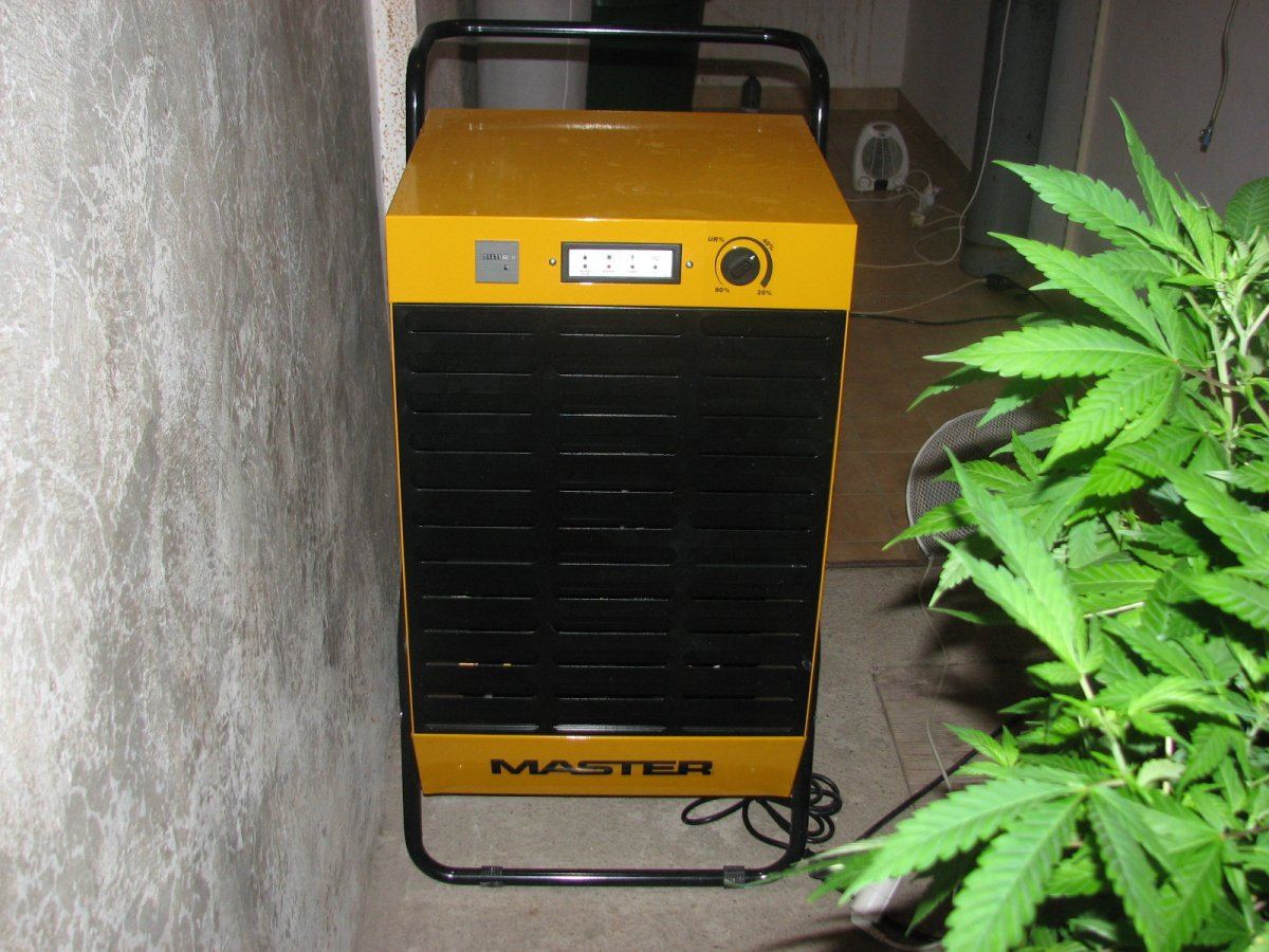 2mx1m ef tablessealed room 3