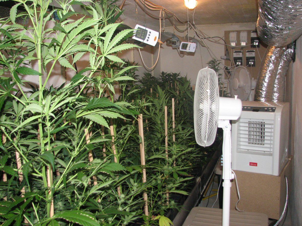 2mx1m ef tablessealed room
