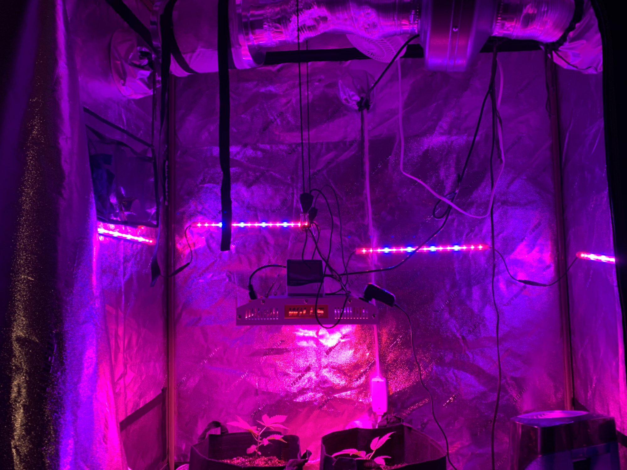 2nd solo grow second bigger tent  roi e720  build and grow journal 9