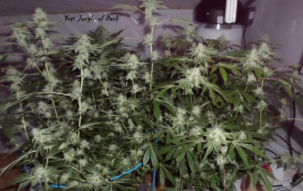 3 26 2015 UDate 3