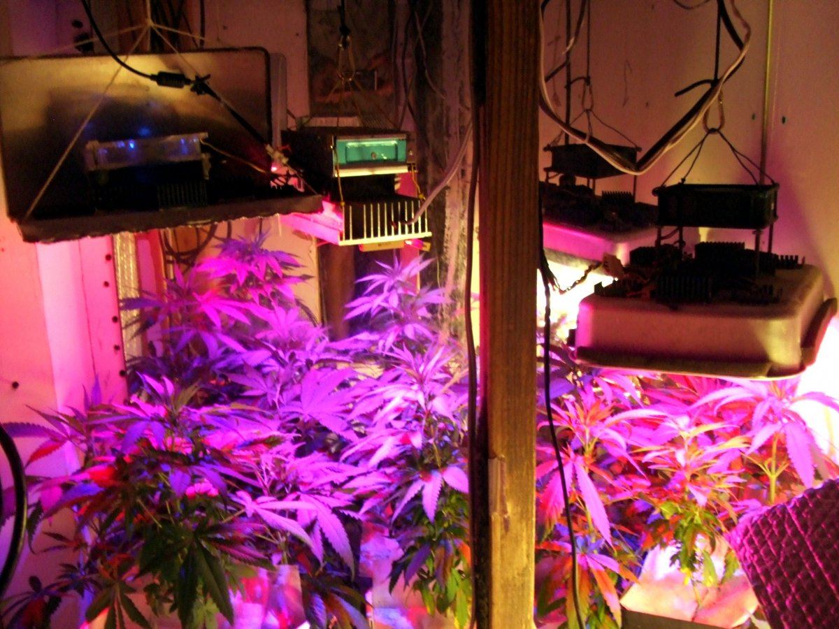 3 lights