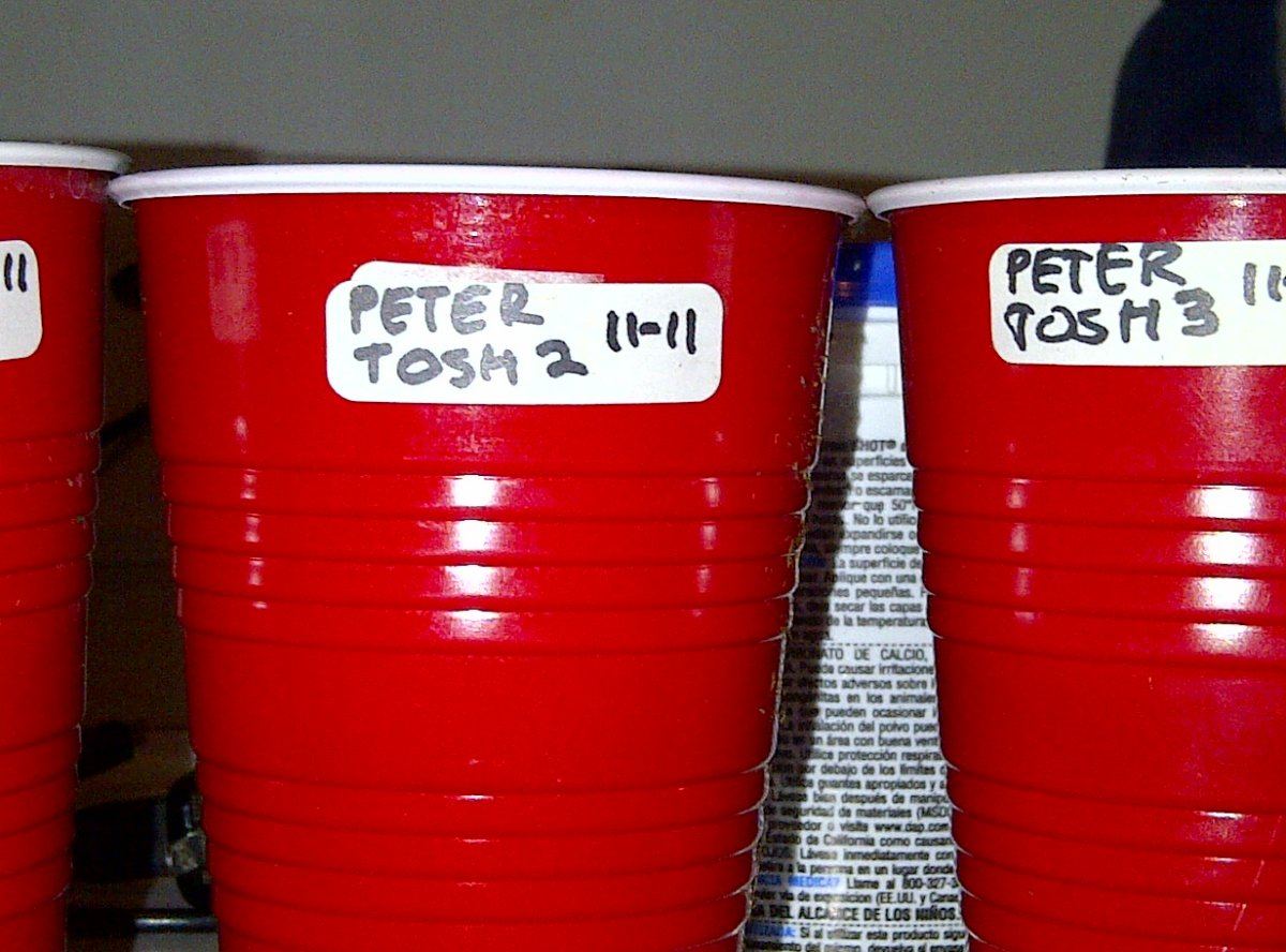 3   peter tosh planted 11 11