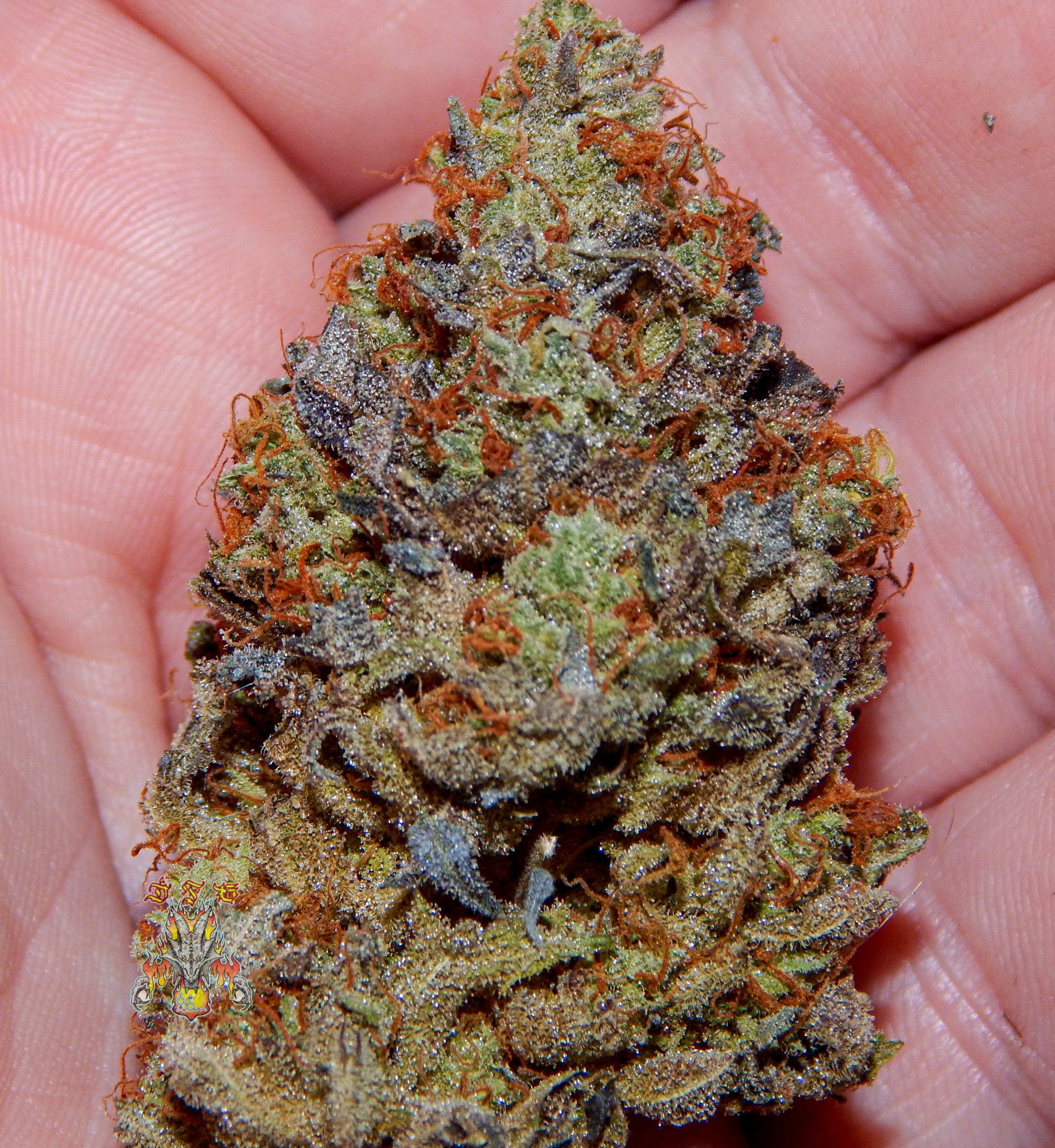 3 times og 2