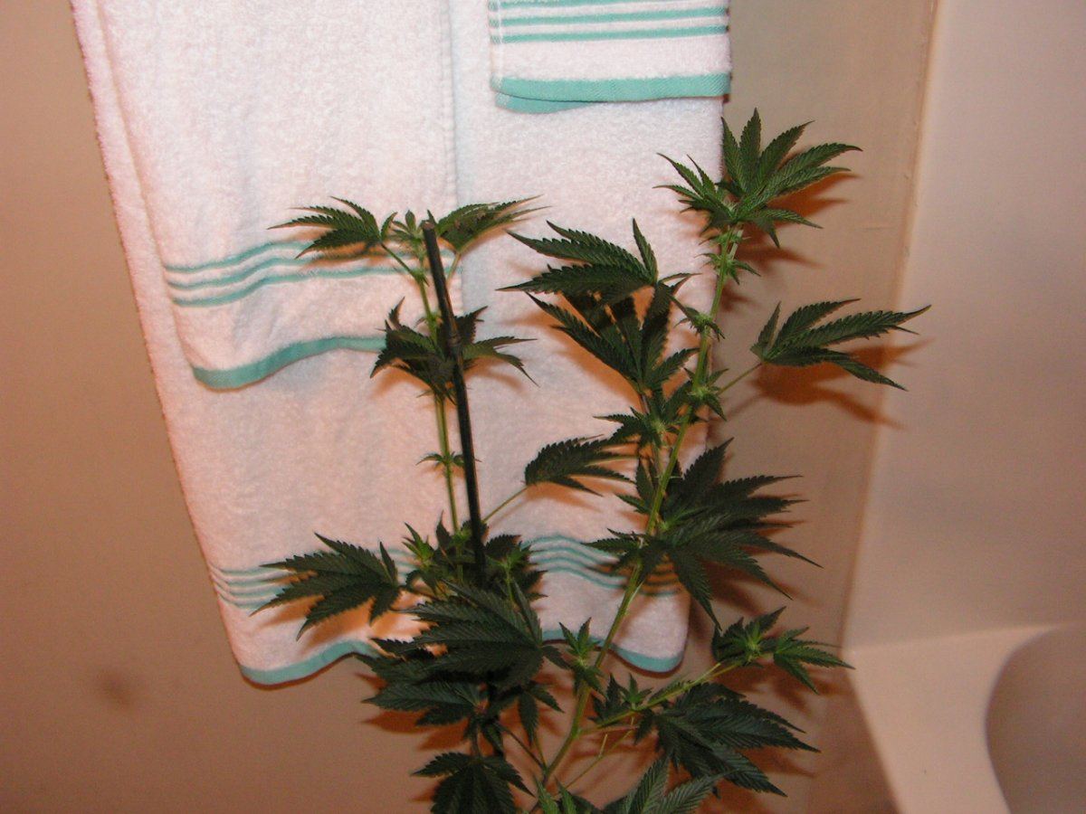 311