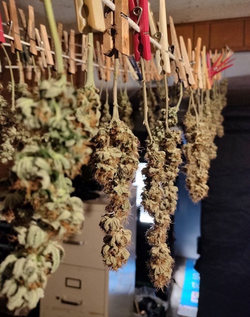 312PBBDrying1