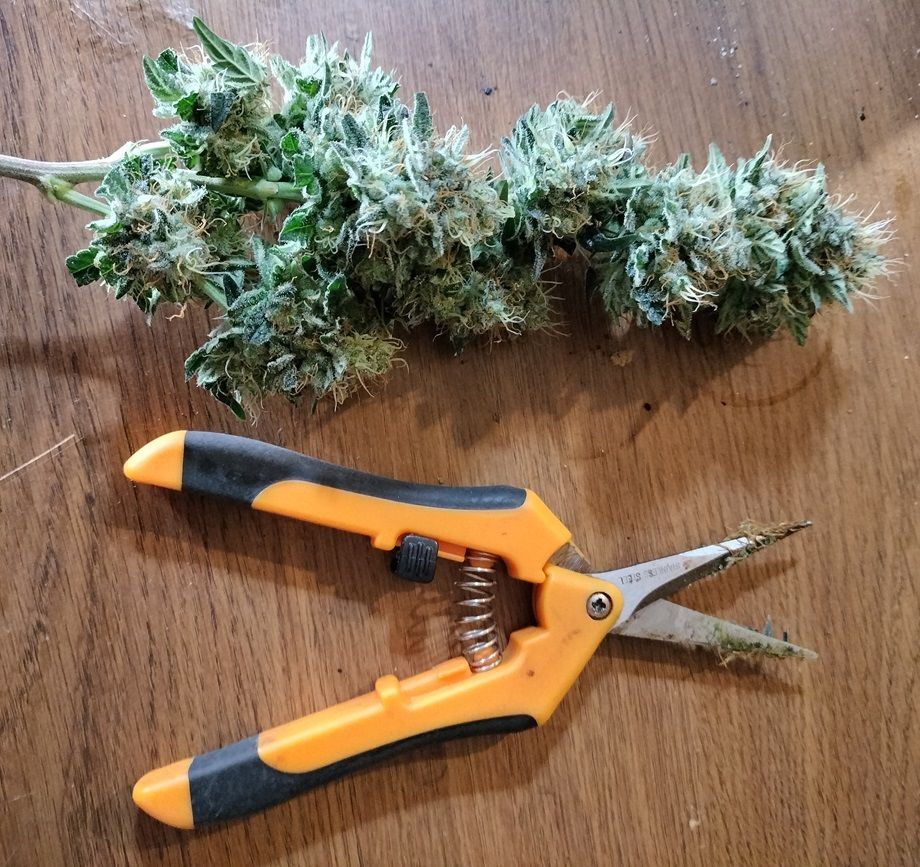 312PBBTrim1