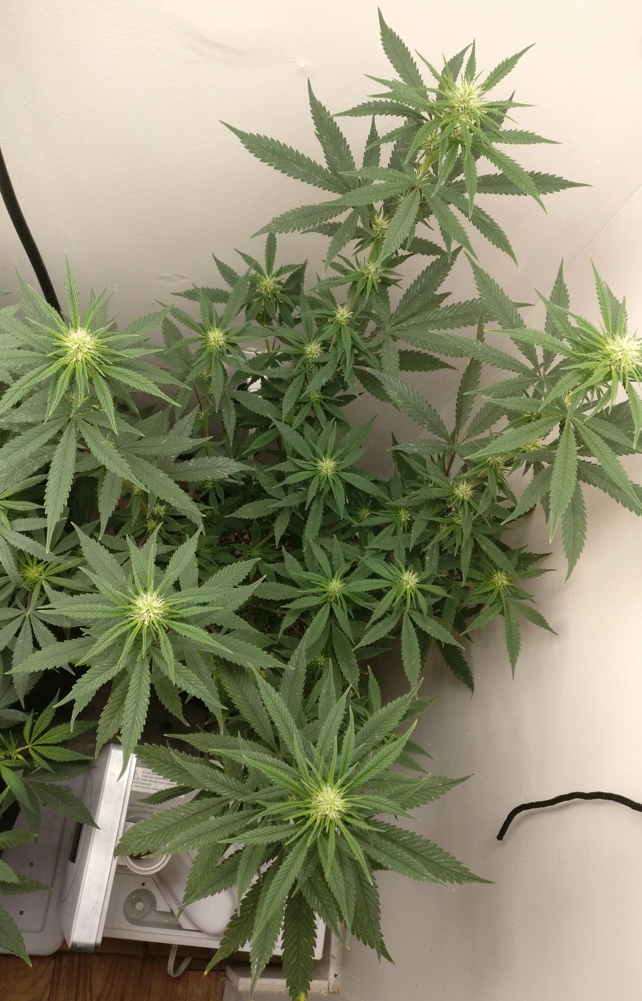 320a