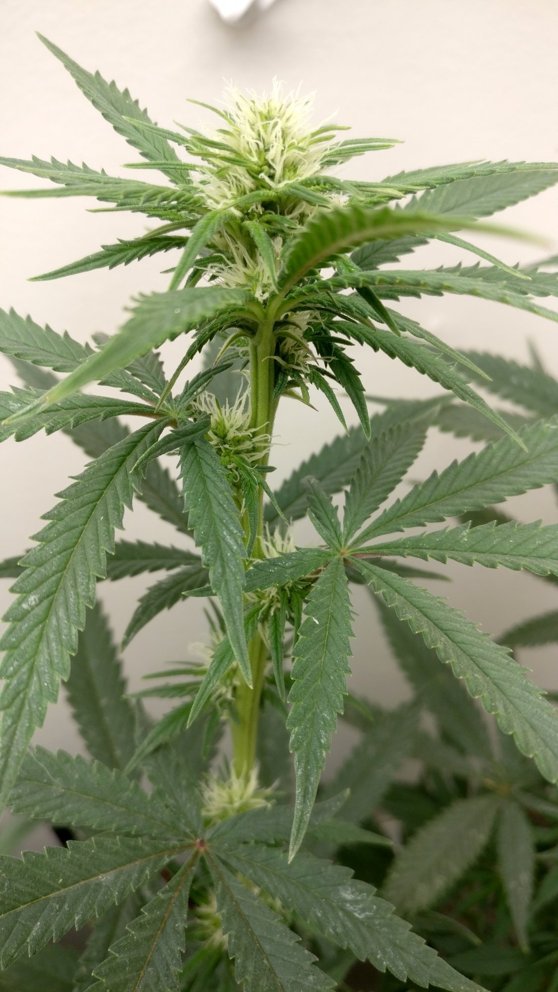 320b