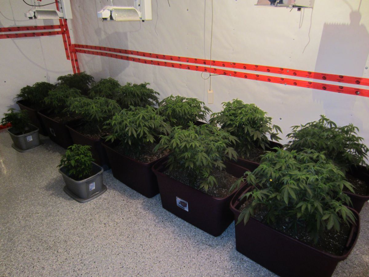 34 Gallon  totes