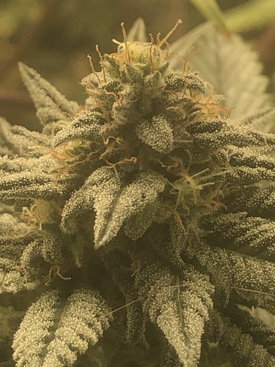 3498A7BC 8DFD 4A2D 8860 A5B41302F7BE