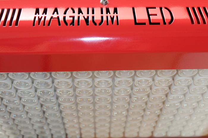 357 magnum led