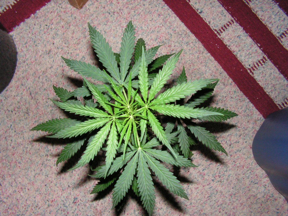 37